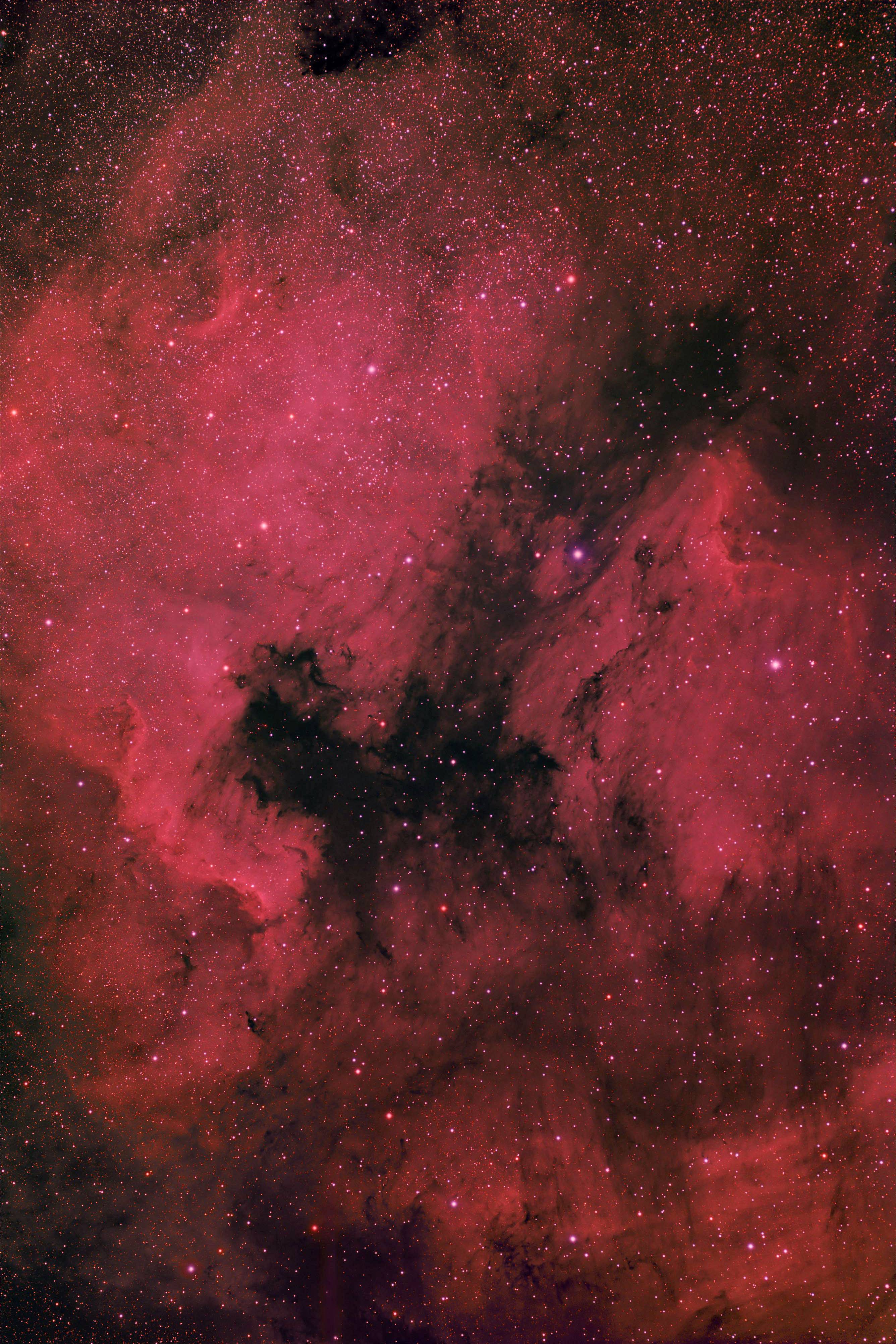 NGC7000 & IC5070 July11